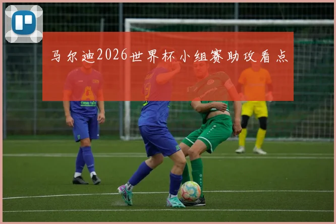 马尔迪2026世界杯小组赛助攻看点