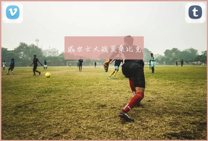 威尔士大战莫桑比克