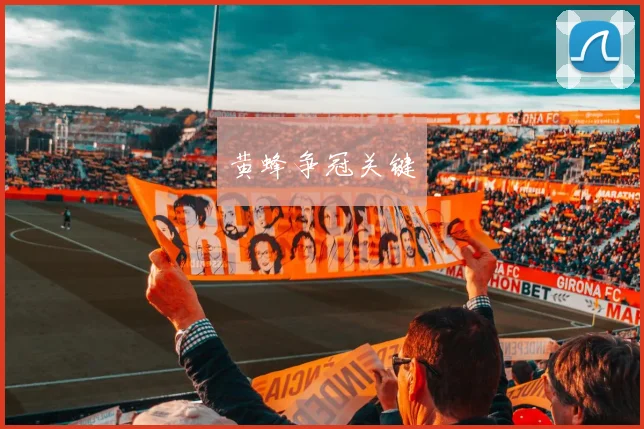 黄蜂争冠关键