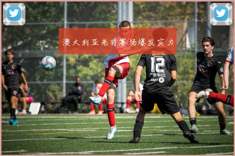 澳大利亚老将赛场爆发实力