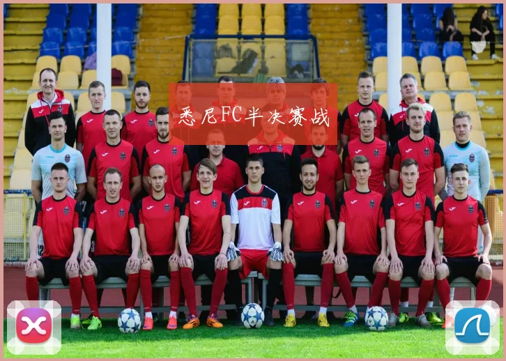 悉尼FC半决赛战