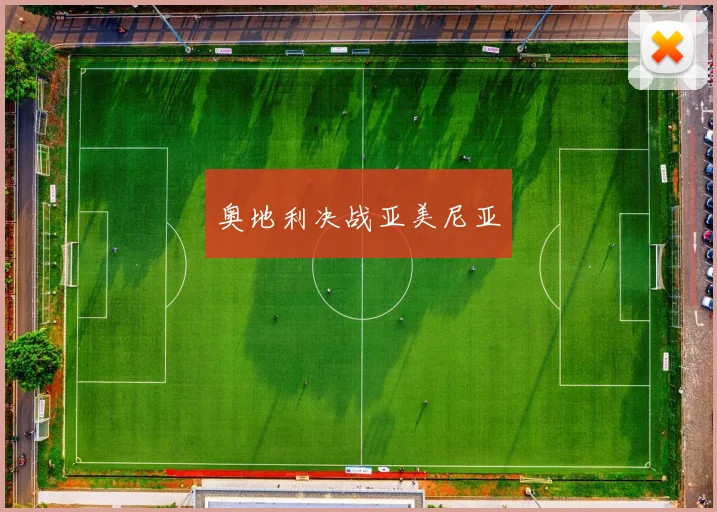 奥地利决战亚美尼亚