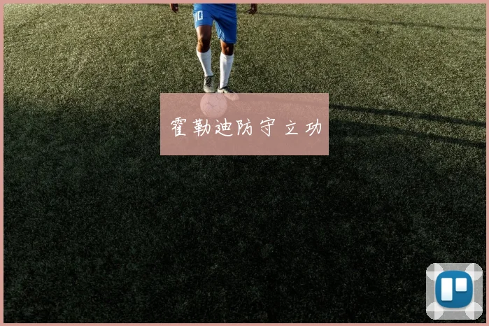 霍勒迪防守立功