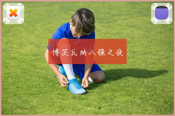 博茨瓦纳八强之夜