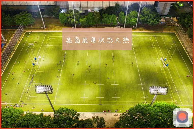 鹿岛鹿角状态火热