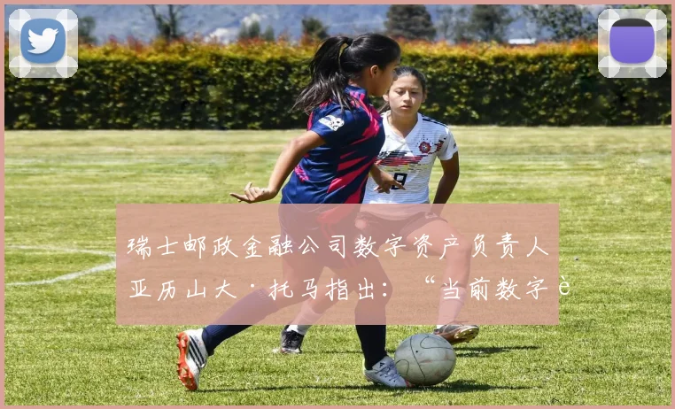 瑞士邮政金融公司数字资产负责人亚历山大·托马指出：“当前数字货币市场被美元计价稳定币高度垄断