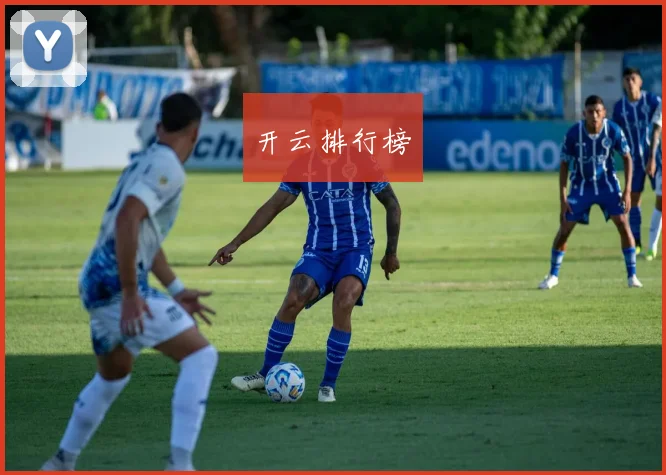 开云排行榜