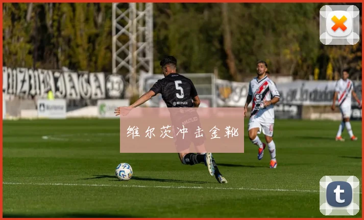 维尔茨冲击金靴