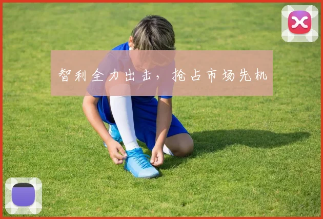 智利全力出击，抢占市场先机