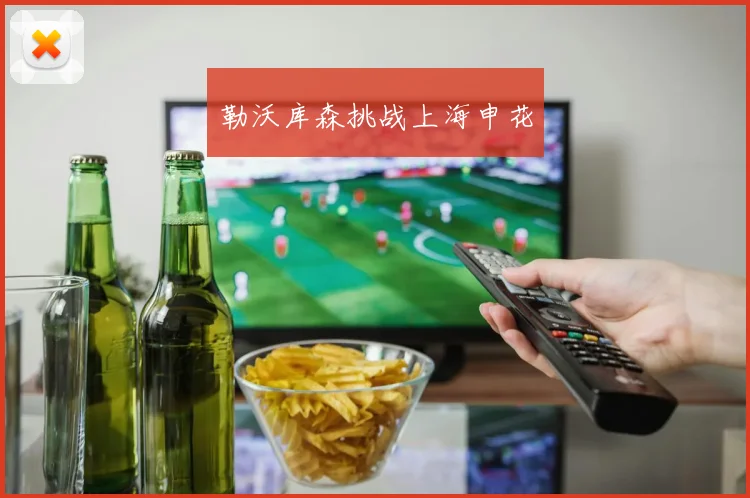 勒沃库森挑战上海申花