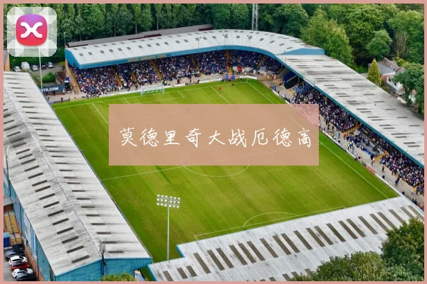 莫德里奇大战厄德高