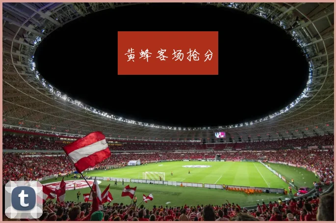 黄蜂客场抢分