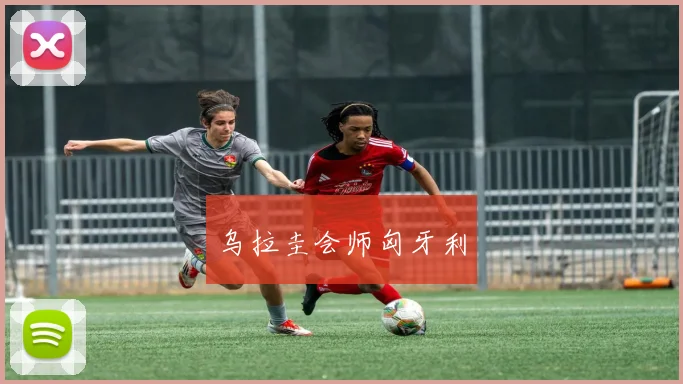 乌拉圭会师匈牙利