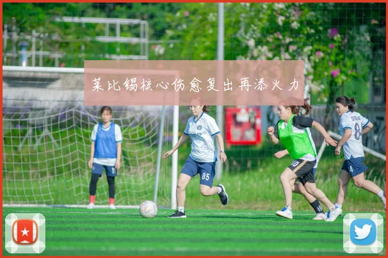 莱比锡核心伤愈复出再添火力