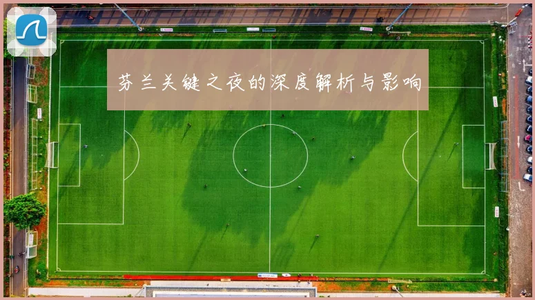 芬兰关键之夜的深度解析与影响