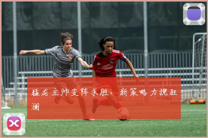 猛龙主帅变阵求胜，新策略力挽狂澜