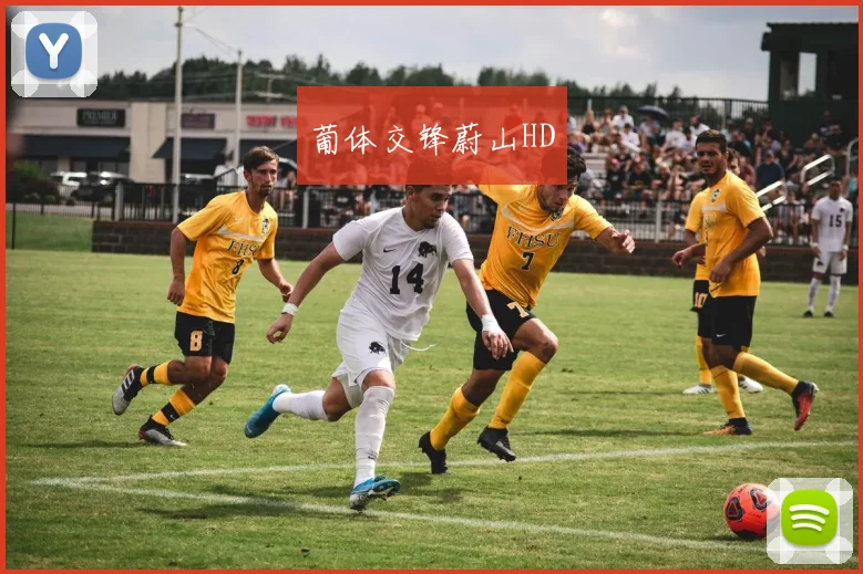 葡体交锋蔚山HD