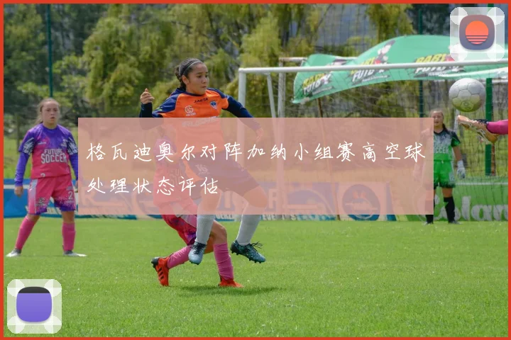 格瓦迪奥尔对阵加纳小组赛高空球处理状态评估