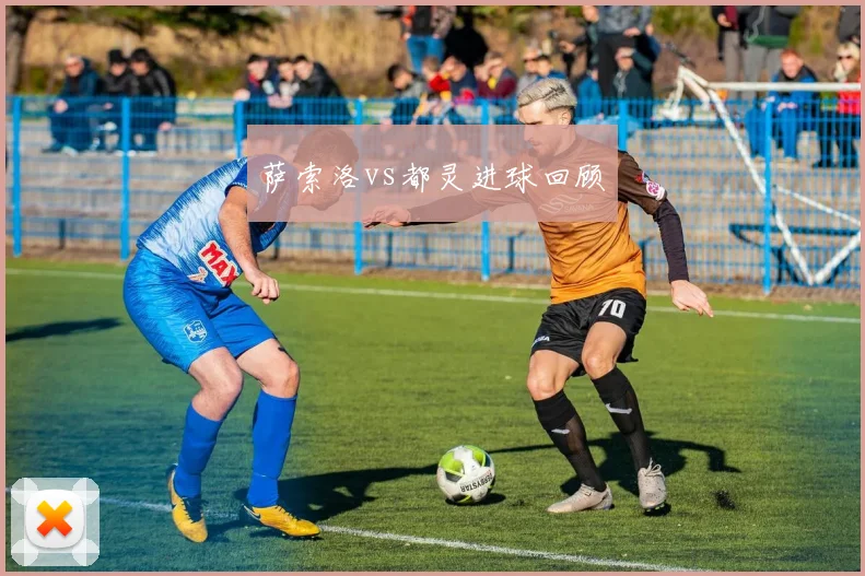 萨索洛vs都灵进球回顾